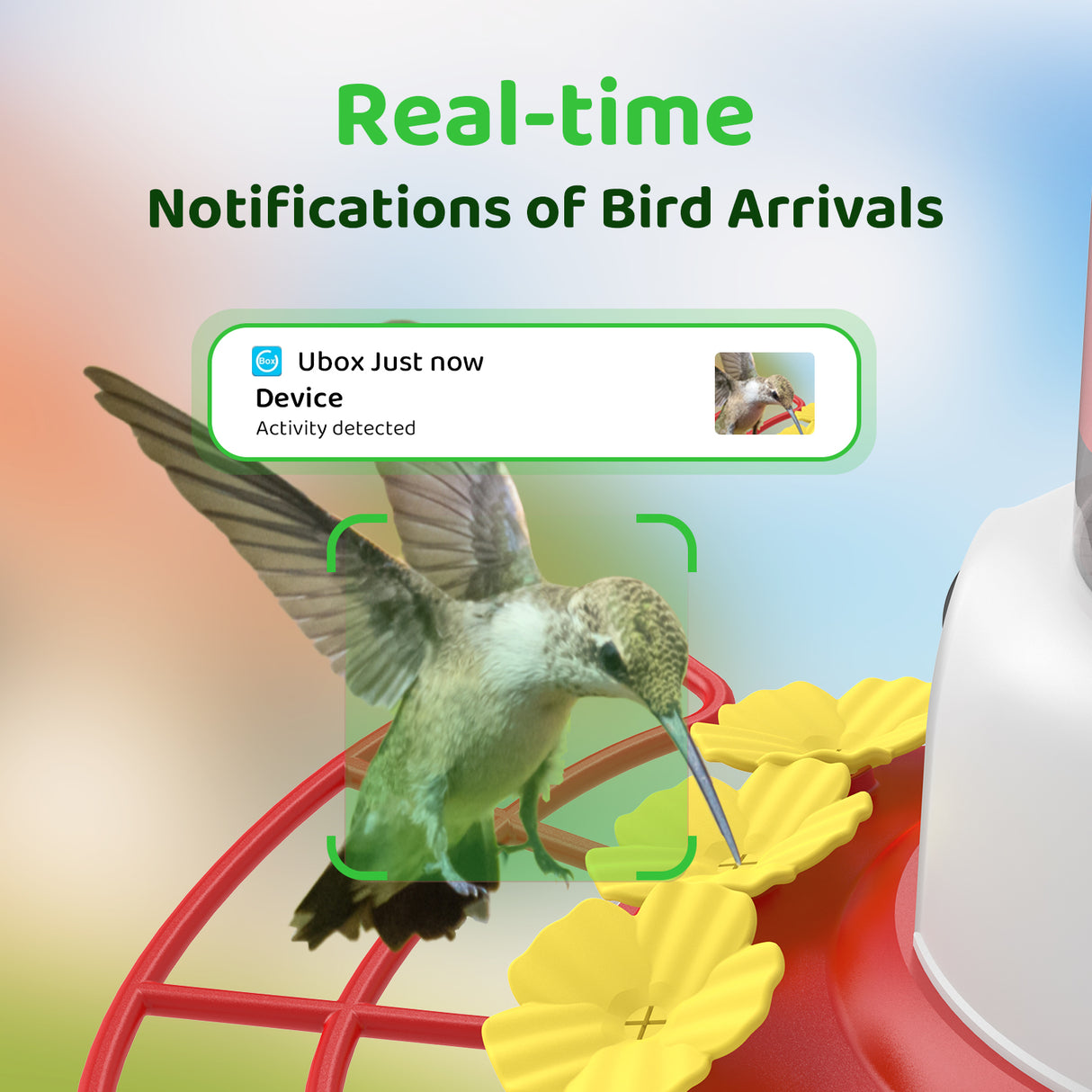 WI-FI Hummingbird Feeder Camera(HF12)