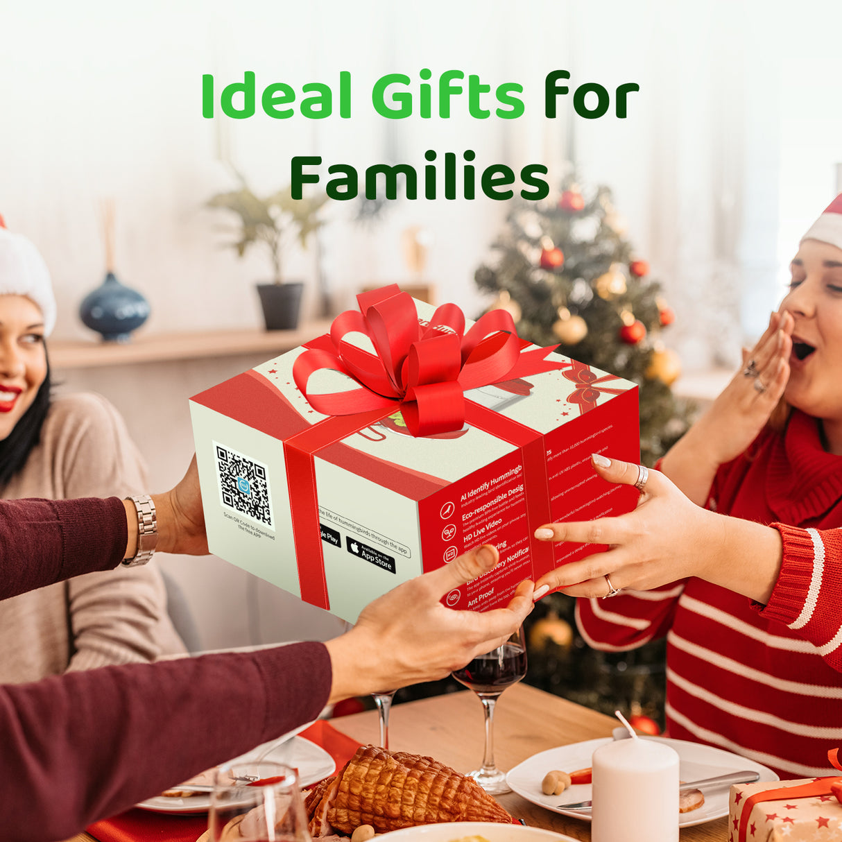 WI-FI Hummingbird Feeder Camera(HF12)