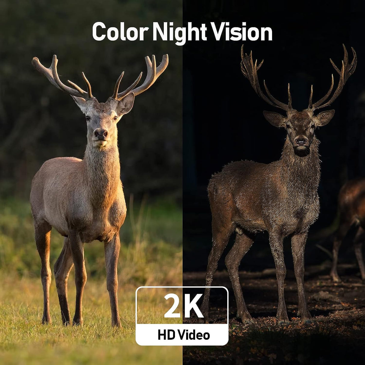 Black WI-FI Outdoor Camera(QB24)