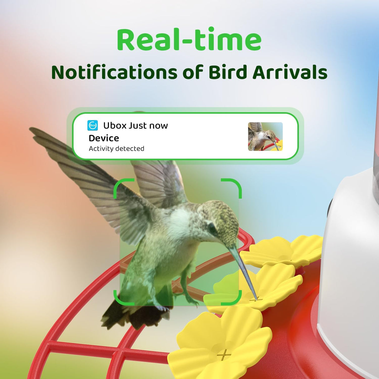 SEHMUA Wi-Fi Hummingbird Feeder Camera(HF12S)