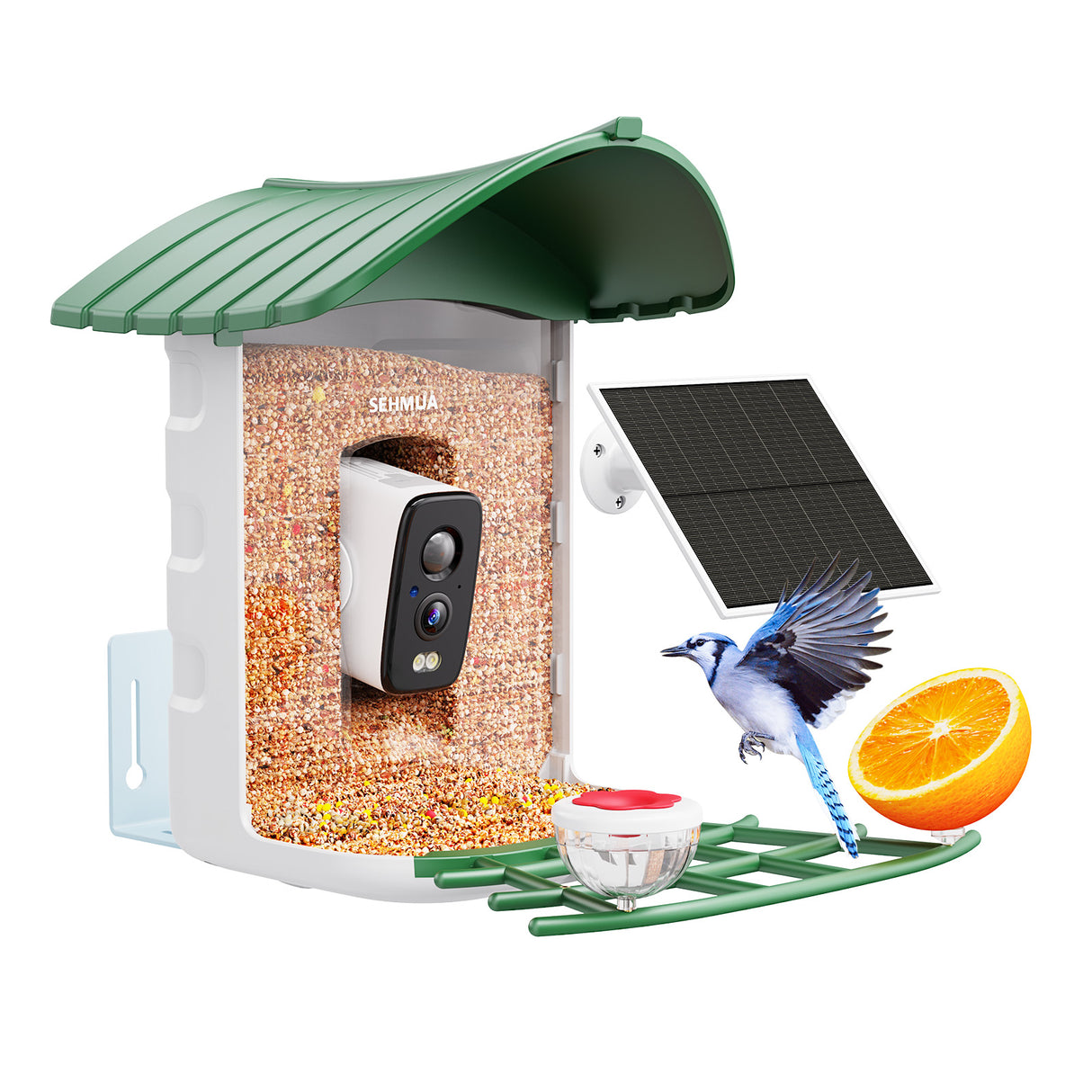 WIFI Smart Bird Feeder with Camera(BF24)