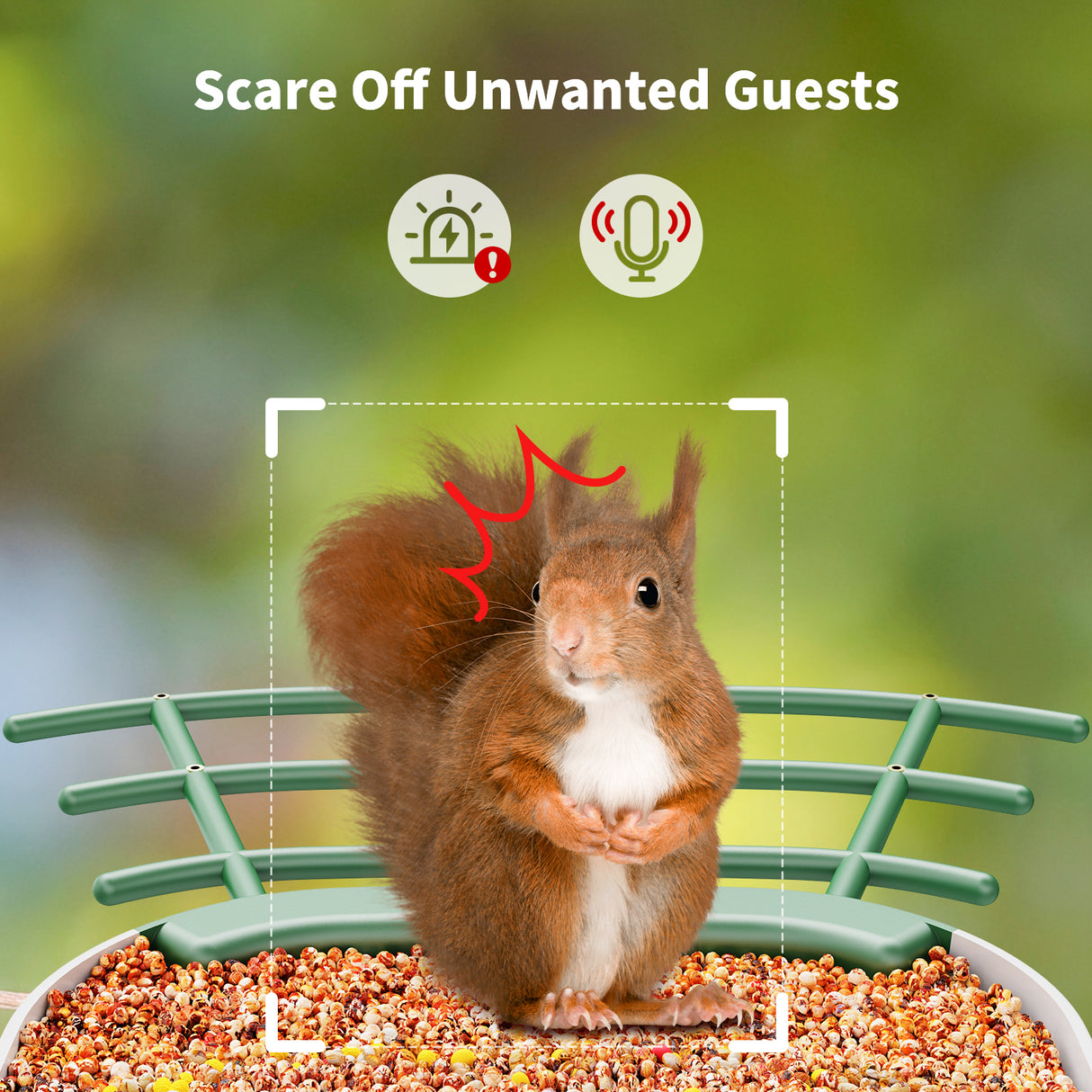 WIFI Smart Bird Feeder with Camera(BF24)