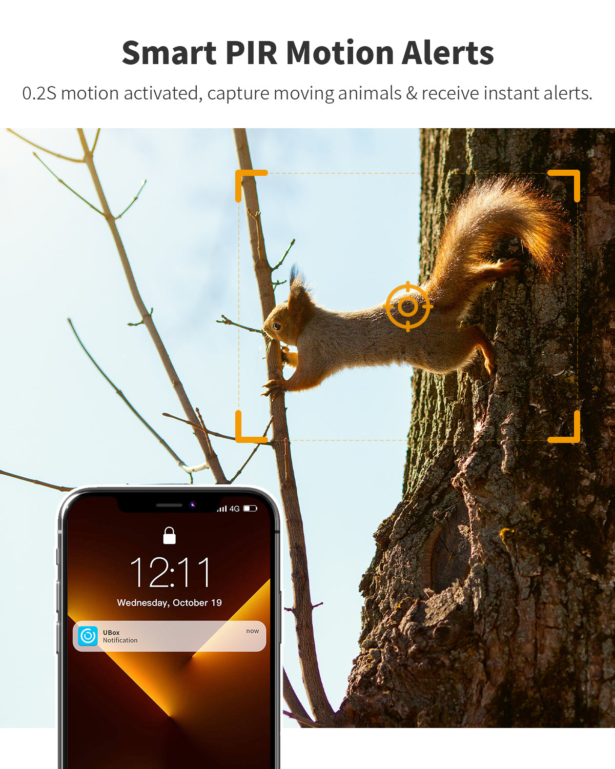 Cellular Trail Camera Gen 3.0(CB24)