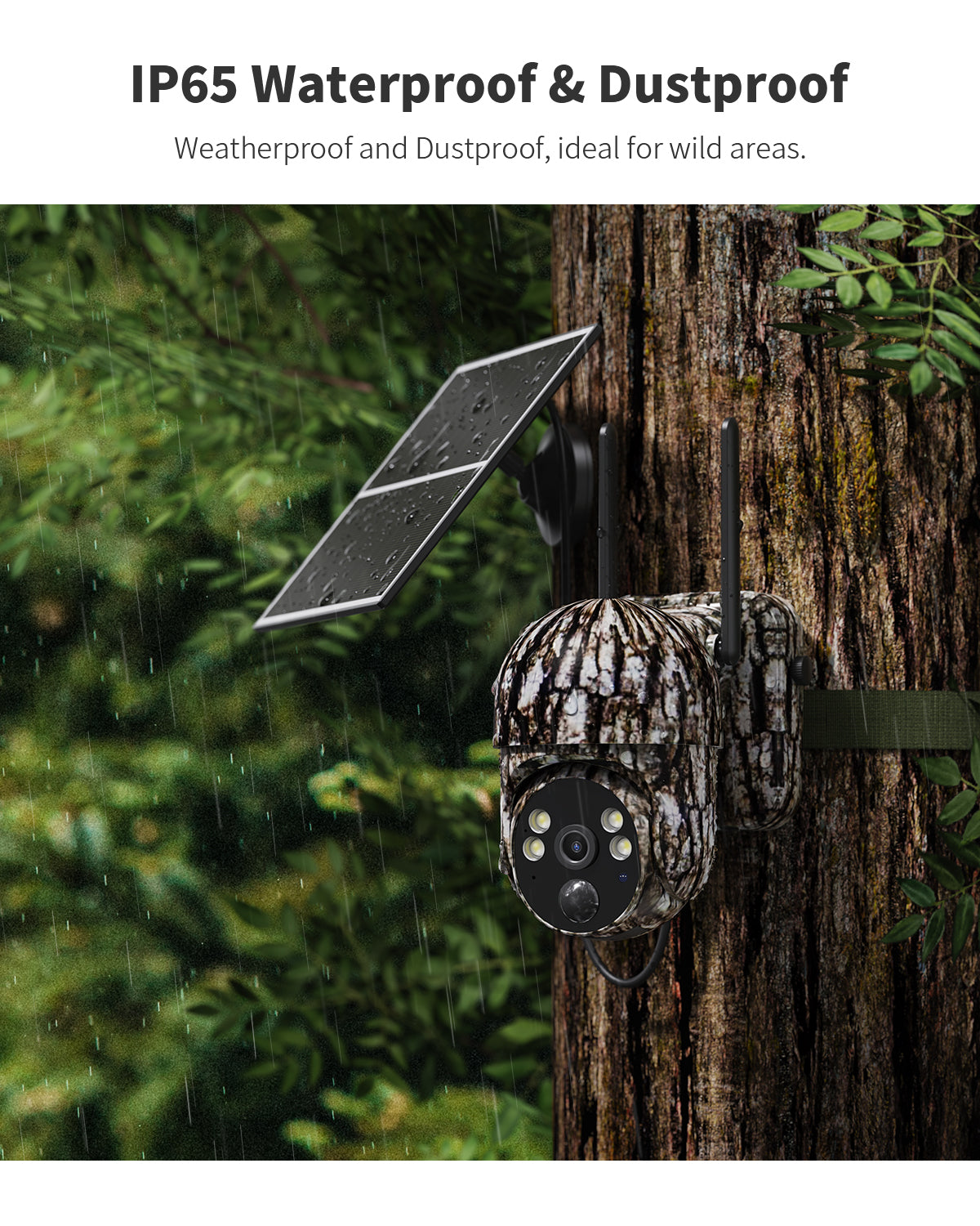 Cellular Trail Camera Gen 3.0(CB24)