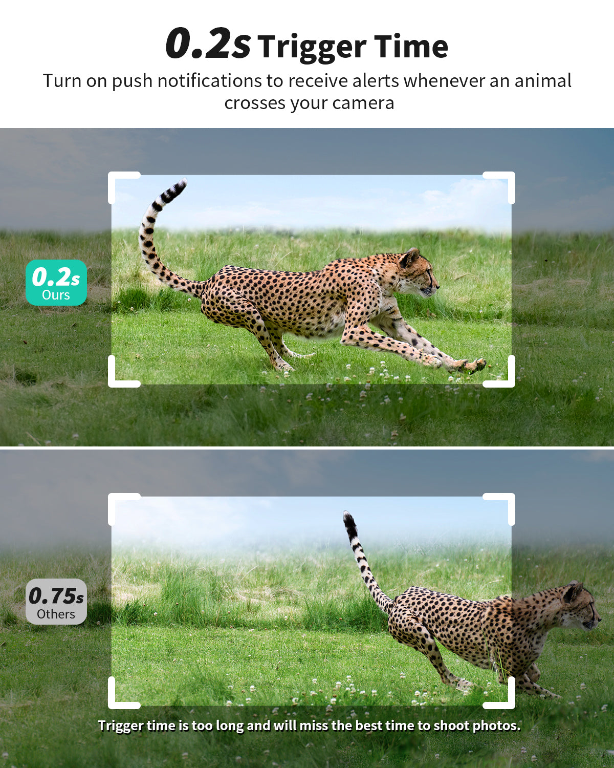 4G LTE 2.7K Live Cellular Trail Camera(HC14)