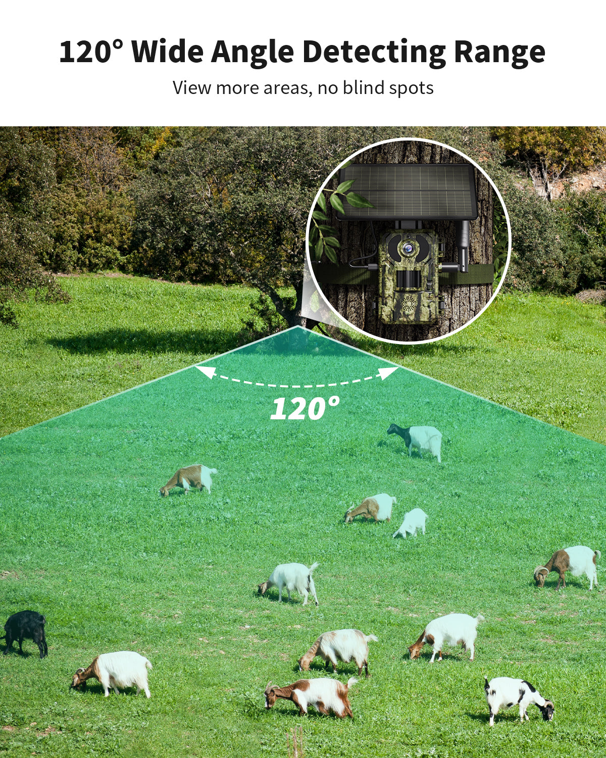 4G LTE 2.7K Live Cellular Trail Camera(HC14)