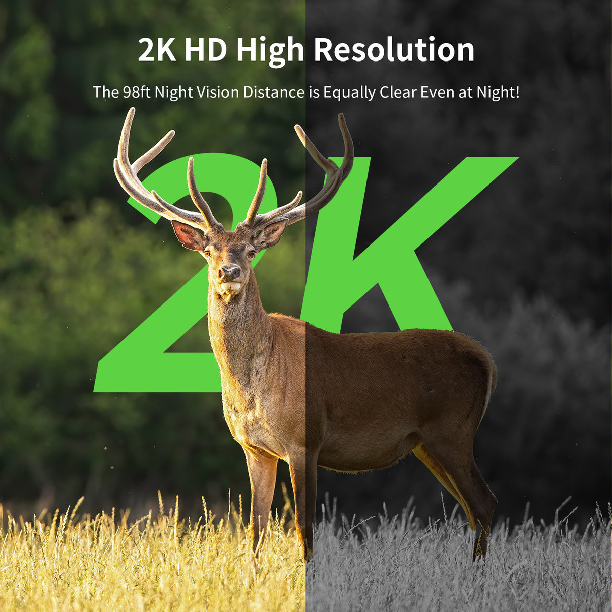SEHMUA 4G LTE Cellular Trail Camera 2 Pack (CB84S)