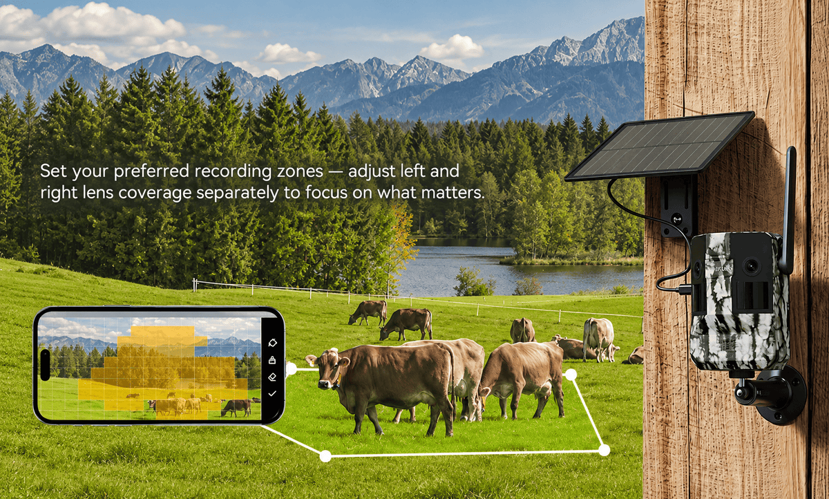 Customized Recording Areas