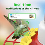 SEHMUA Wi-Fi Hummingbird Feeder Camera（HF12S）