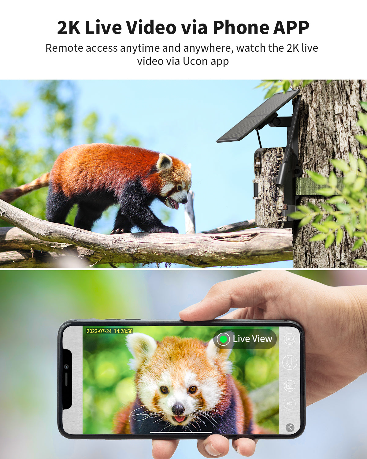 4G LTE 3rd Gen Cellular Trail Camera（HC12）