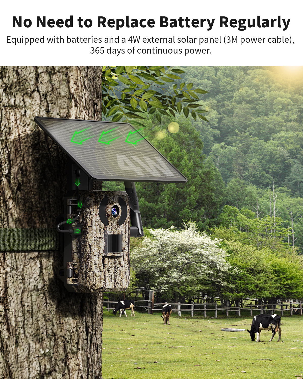 4G LTE 3rd Gen Cellular Trail Camera（RBX-H10）