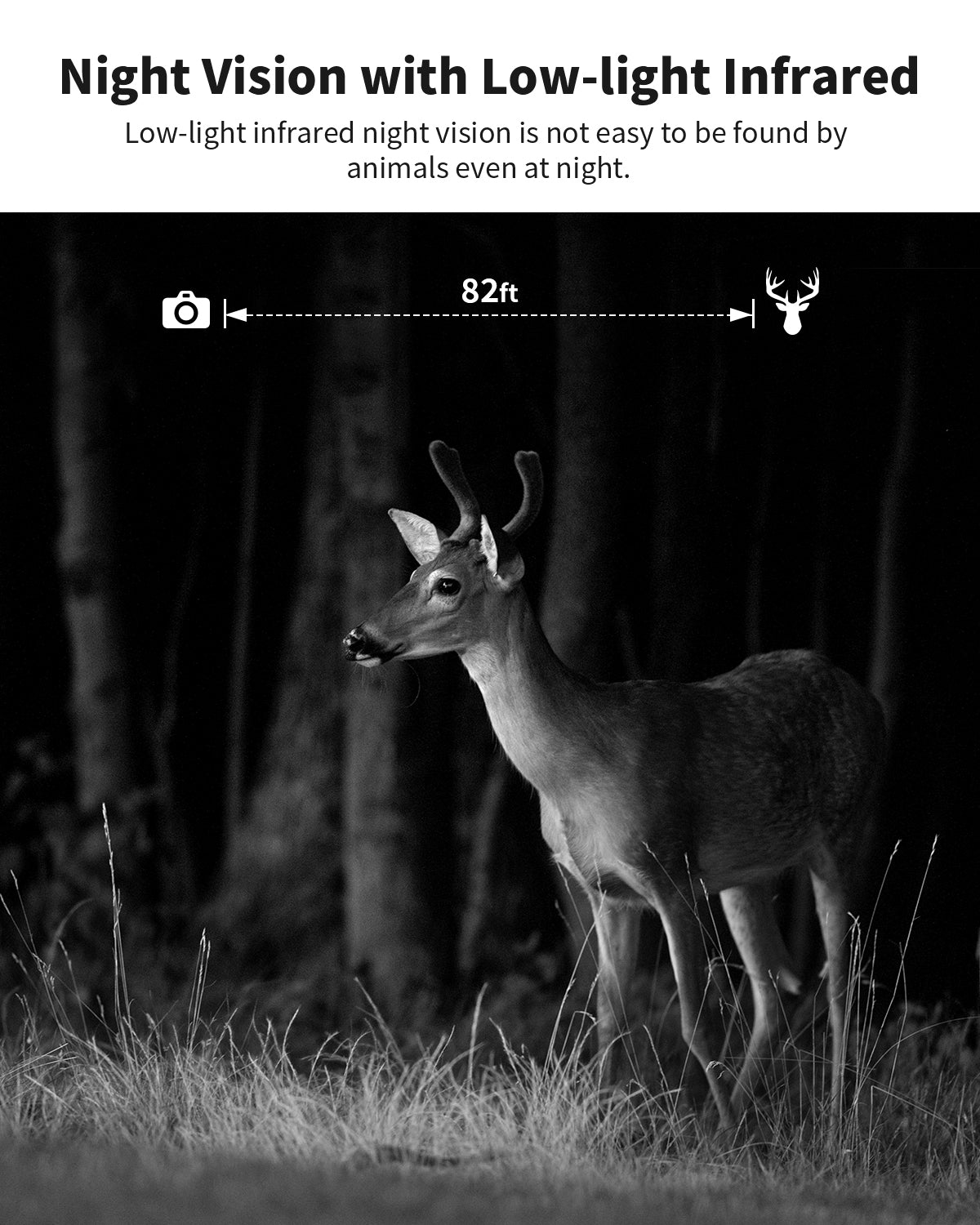 4G LTE 3rd Gen Cellular Trail Camera（HC12）