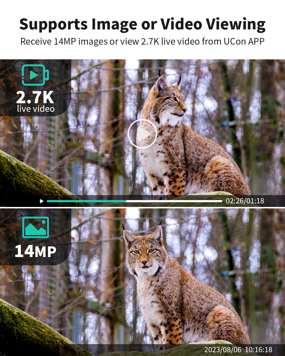 4G LTE 2.7K Live Cellular Trail Camera（HC14）