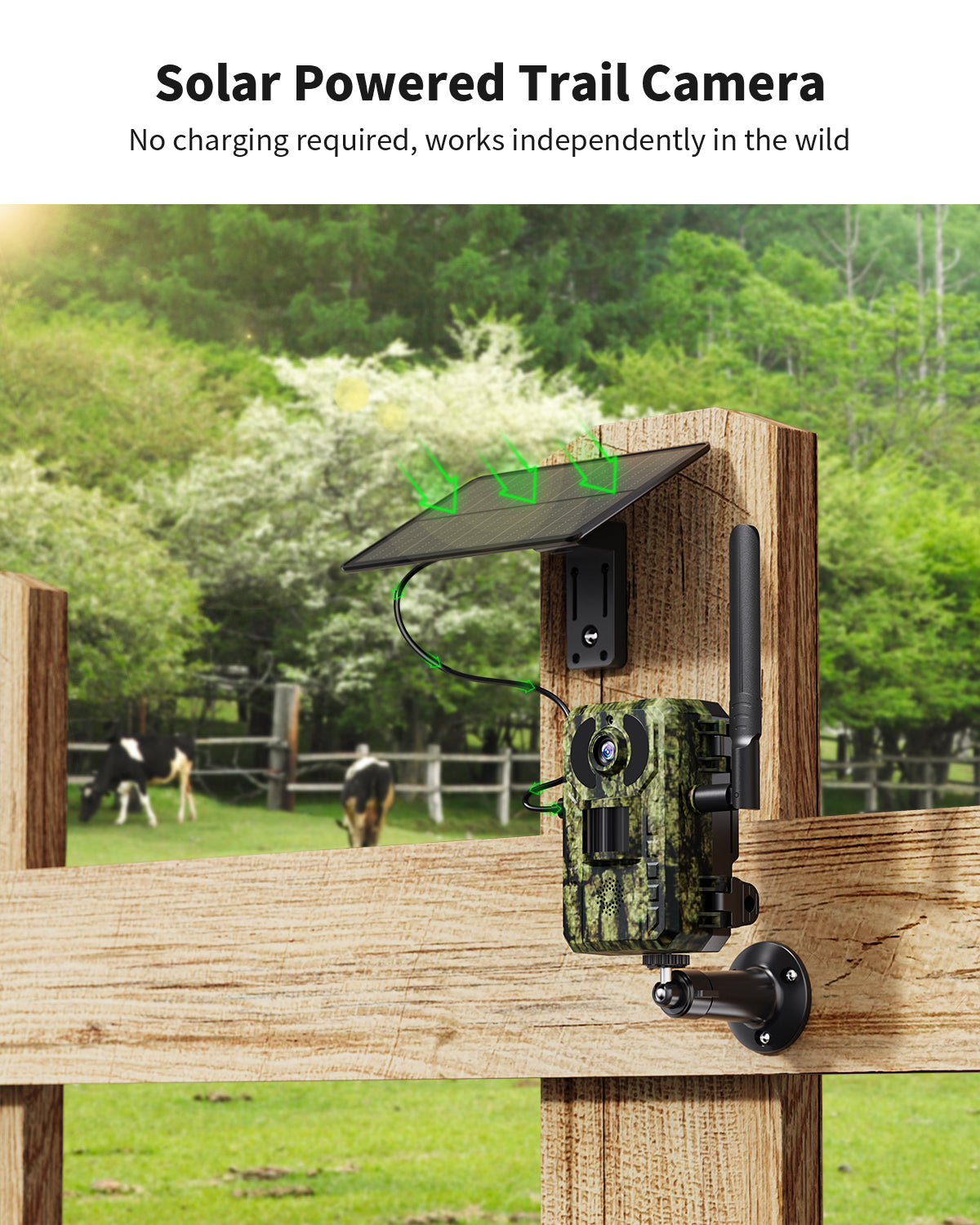 4G LTE 2.7K Live Cellular Trail Camera（HC14）