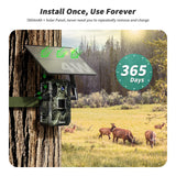 4G LTE Cellular Trail Cameras（HC22）