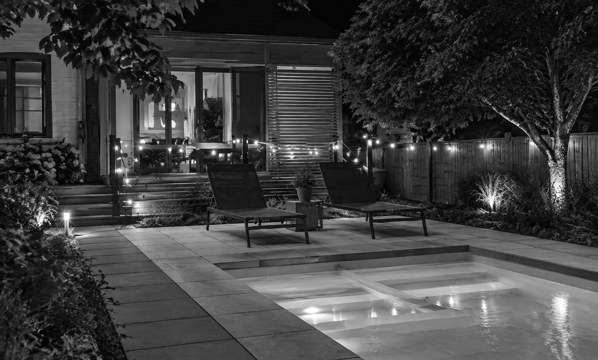 Night scene with night vision lighting off